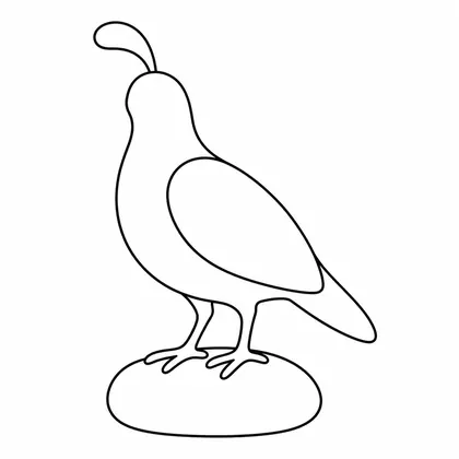 Dibujo de codorniz del desierto para colorear